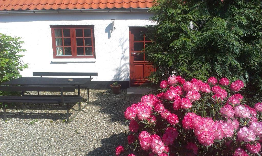 Vranum Guesthouse Viborg Ngoại thất bức ảnh