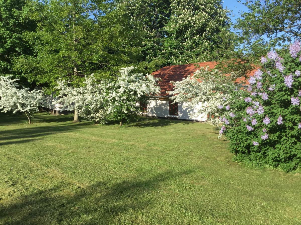 Vranum Guesthouse Viborg Ngoại thất bức ảnh